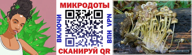 Купить где  Белебей  Галлюциногенные грибы ЛСД 